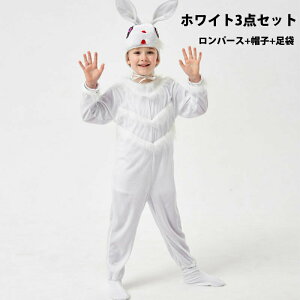 y3_15%offN[|zzInEBߑ LbY  RX`[   sN tt  qp  ߑ  o \ w| w _Xߑ p[eB[ Cx