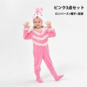 y3_15%offN[|zzInEBߑ LbY  RX`[   sN tt  qp  ߑ  o \ w| w _Xߑ p[eB[ Cx