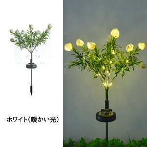 y2{ZbgzO \[[Cg  K[fCg ߍݎ h   Y zpl[d _/ dC[ tȒP LED\[[Cg 铔 iCgC