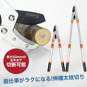 ΂ 6iK߉\ j Kтɂ tbfR[eBO oT~  Ă΂ |p͂ }΂ ͂ }؂oT~ }