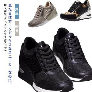 EFbWXj[J[ V[NbgV[Y Cq[Xj[J[ fB[X Xj[J[ r  Xj[J[ ^C y ₷ ₷ V[Y q[Abv E