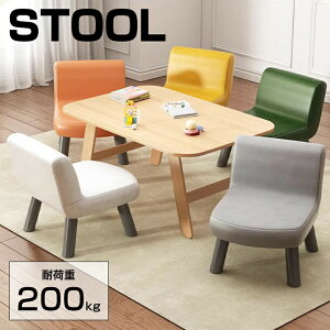 Xc[  k `FA `FA[ ֎q CX  _CjO Lb` rO lp AeB[N Be[W C_XgA JtF Vv _ STOOL 1rP̔̔ j