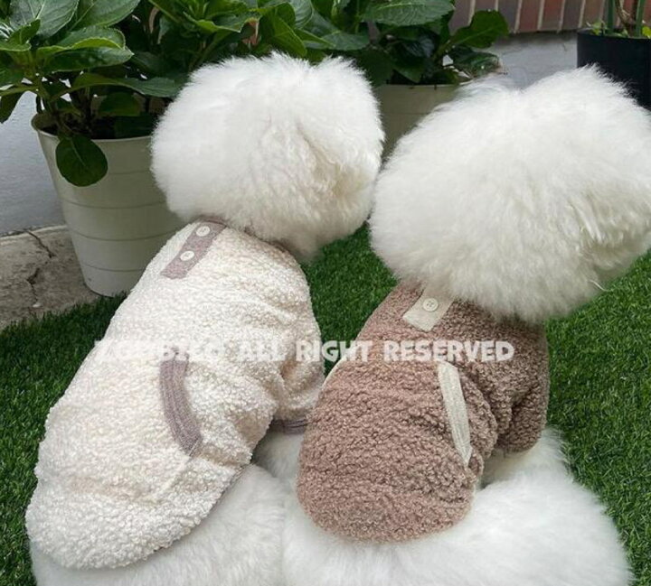 楽天市場】【SALE】 犬 冬服 トレーナー 韓国 ブランド ZOOBICO 