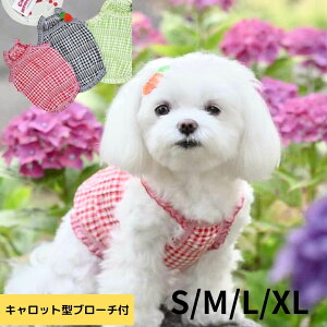  ėp L~\[ ؍ uh ZOOBICO MK`FbN Lbgu[`t gbvX 킢  ̕  }`[Y gCv[h [L[