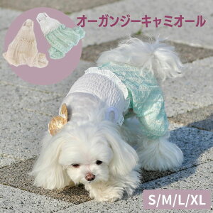   t  Ȃ ؍ uh ZOOBICO I[KW[ [X p[X ~g x[W S M L XL 킢  Y[rR V[r[Y o