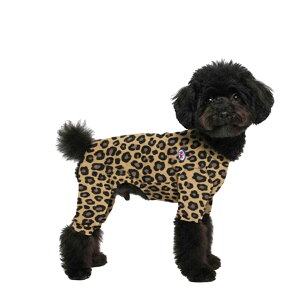   p[X Ȃ TUSTUS Ip[h I[C ȑf q 悭Lт ₷ ؍ uh  gDXgDX