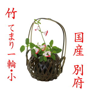 | ֑} uĂ܂   v11-014 Y 啪 ʕ{|׍H { V