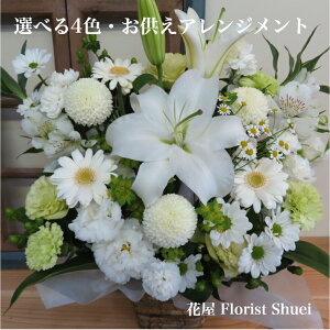 y     AWg   蕨   t[ AW {  @  ~ ~ ފ     O N