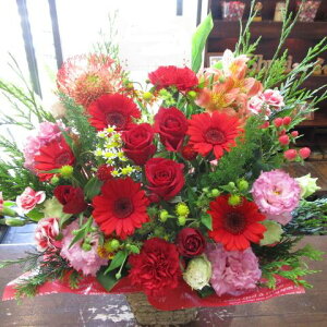 prujLOvt[AWg Congratulations Arrangement yzZX̂  t[Mtg җj  j a    ސEj  a v