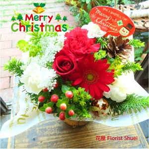 ogpop&cuteXmaso[WAWI yt[AWg  NX}X v[g  ޏ  av[g  j AWg 킢  a