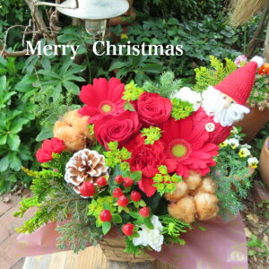 õAWINX}Xo[Wy Mtg  t[AWg  NX}X v[g  ޏ a v[g  t[Mtg a   