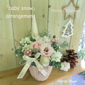 zCgƃsNXmasIuBaby snowxCr[Xm[vAWIWDق肷zCgsNyNX}Xv[g  NX}X t[AWg t[ Mtg a