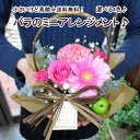 Happy あす楽 送料無料 小さいけど素敵!バラのミニアレンジ 花 お祝い 誕生日 プレゼント 女性 女友達 母 生花 フラワー ギフト 薔薇 即日発送 アレ...