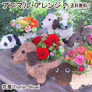 花 動物 アレンジ 生花の人気商品 通販 価格比較 価格 Com