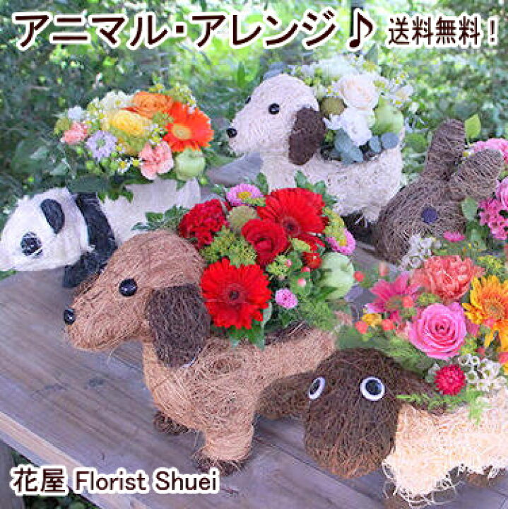 楽天市場】あす楽 動物のバスケットを使ったフラワーアレンジメント 