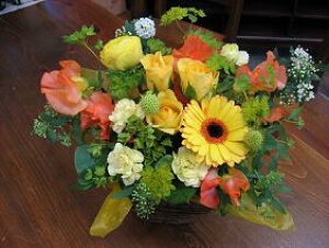  AWg CG[n F t[Mtg a v[g    `  y P 80 Ď j 88 j  \ j ސEj LO e 