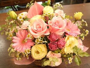  AWEsNn F bZ[WJ[ht t[AWg  a AWgt[ av[g   t[Mtg a    