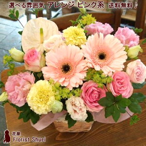 yzybZ[WJ[htzAWgEsNn yt[Mtg a v[g  c    y j t[AWg ʉ@ 