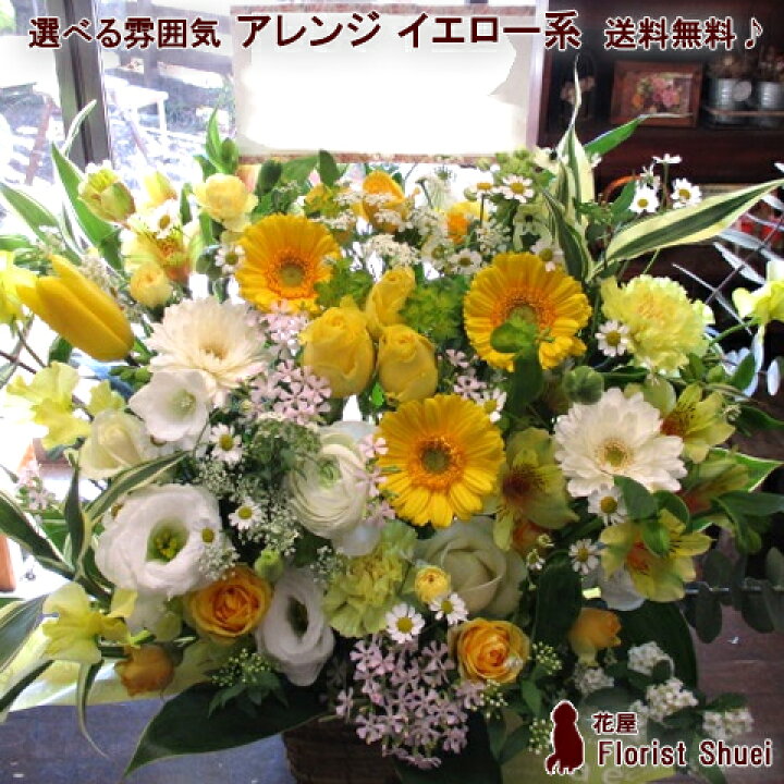 楽天市場 即日発送 送料無料 アレンジメント イエロー系 生花 アレンジメント フラワー 誕生日 プレゼント 女性 母 祖母 ギフト お見舞い 楽屋花 お祝い 花 退職祝い 定年 男性 米寿 祝い 開店祝い 開業祝い 昇進祝い 昇格祝い 花屋 画像配信 メッセージカード付き