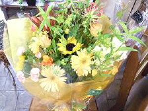  ԑiu[PjCG[nL t[Mtg a v[g   y  y j ԑ ԉ ސEj N ʉ ԑybZ[WJ[htz