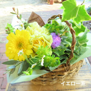 ~ju[PϗtÃi`oXPbg ԑ ϗtA a v[g   c FB ʉ ސEj  j a  t[Mtg j  \ 