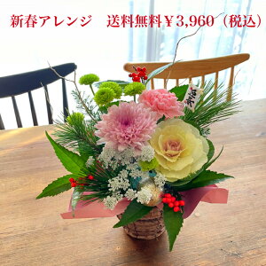 yz2026މVN Vt AWg yt[Mtg      _  }t AW   t[AWg AWgt