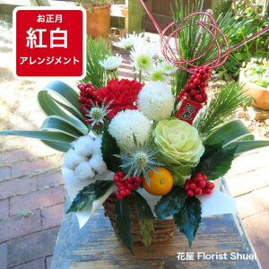 yz2026J_[tމVN g AWg yt[Mtg      _  }t AW   t[AWg A