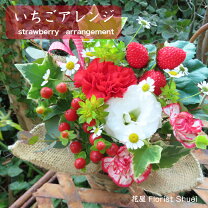 楽天市場】いちご（フラワーアレンジメント｜花・観葉植物）：花 