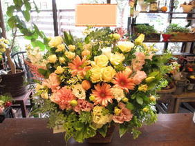 楽天市場 送料無料 ご用途 お見舞い 生花アレンジメント 病院 ご自宅にお見舞い 花 入院 快気祝い 花 お見舞いの花 アレンジ アレンジメントフラワー 退院祝い アレンジフラワー 花屋 花屋florist Shuei