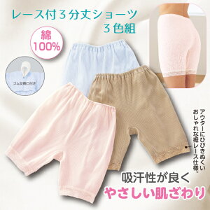 y[Xt3V[c@3FgzfB[X V[c  􂢑ւ 100 S u XgXt[ 3 [X Ci[ fC[ v`v WF[ 