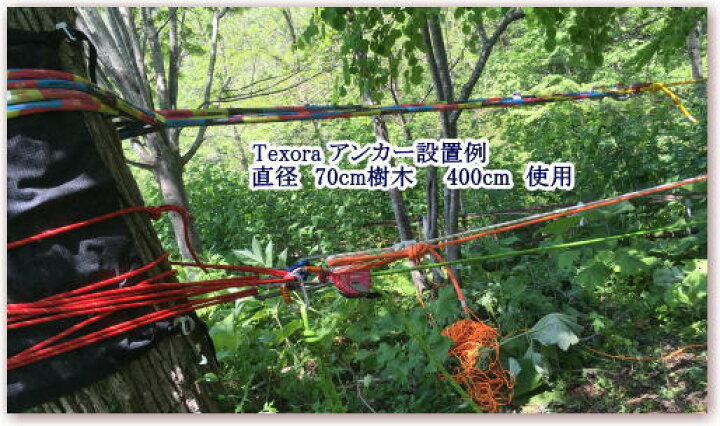 楽天市場】テクソーラ［Texora］ TX/L-COMPACT 100 kN (400cm) Anchor 