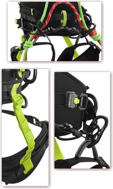 楽天市場】エーデルリッド［EDELRID ］TREEREX（ツリーレックス 