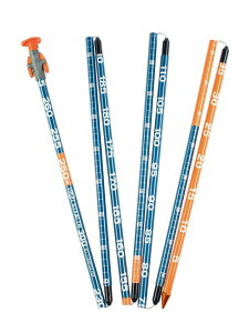 r[V[G[mBCAnXeX 300iAo`v[uj