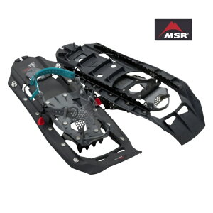 mMSRnEVOGNXv[[iXm[V[j