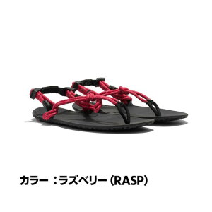�[���V���[�Y�mXERO SHOES�n�W�F�l�V�X�i���j�Z�b�N�X�j