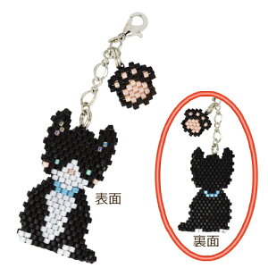 r[YLbg r[YXeb`Lbg VFCvhXeb` o[VuVFCvhXeb`Lbg ˂ BFK429 | r[Y Lbg `[ L ˂ lR L VFCvh Xeb` o[Vu 