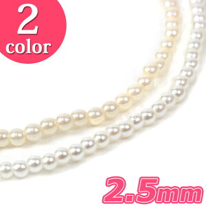 p[ 2.5mm 195 | p[  p[c ANZT[ ޗ lbNX sAX CO  w  nhCh tH[} uC_ EFfBO  LXJ J[ g[J