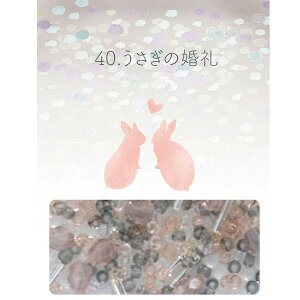 r[ỸAgG r[YpbN 40.̍br[Y p[c OXr[Y r[YZbg nhCh ANZT[