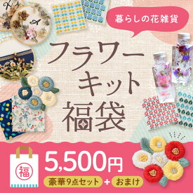 楽天市場 雑貨 福袋 手芸 クラフト 生地 日用品雑貨 文房具 手芸 の通販