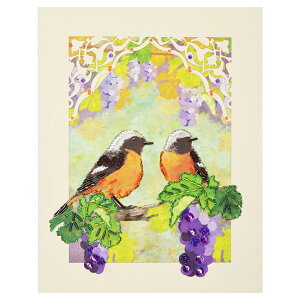 MIYUKI r[YfR[ WEr^Lƕ | r[Y Lbg r[YLbg ȒP S G CeA Cxg G MIYUKI ~L    