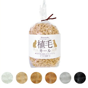 ArуtFg AуJ[ | tFg| tFeBO  nhCh tGg tFg r |pi ޗ |ޗ tFgNtg