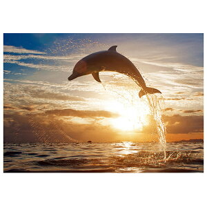 LLr[YA[g CJ SCB-380 ^ LoXTCY 40×30cm Gx[ | hJLbg r[Y LoX A[g \t hイ CeA t[