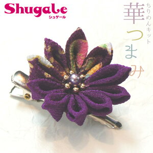 ߂Lbg ؂܂ i傤ނ炳j y[։z| ܂ݍ׍H ޗ Lbg  |Lbg ANZT[  nhCh ߂׍H Lbg v[g 