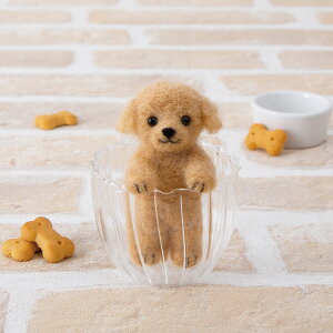 n}iJ H441-609 ӂӂrтł tFg gCv[hi|[Yj | tFgr Lbg   Ck v[h hbO rуtFgLbg