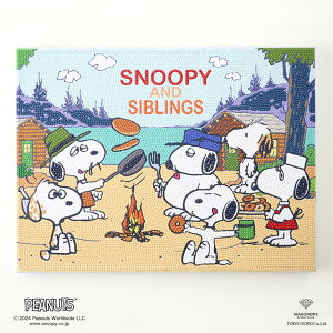 _ChtBbNX Lbg SNOOPY&SIBLINGS 30×40cm DF34-PN001 |  _CAhtBbNX Xk[s[ r[YLoXA[g \t CeA t[ _Ch A[g