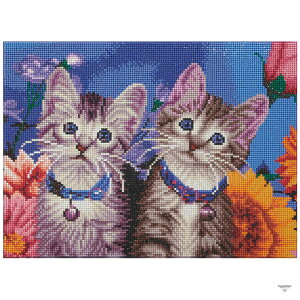 _ChtBbNX Lbg qL 10-3309 ^ 30×40cm ˂ lR |  _CAhtBbNX r[YLbg r[YLoXA[g \t CeA t[ hJLbg _