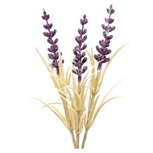 �t�F�C�N�h���C�t�����[ ���[�W�[ �f�B�[�v�p�[�v�� PFD-15-43 | �n�[�o���E�� �J���C�h�t�����[ �A�[�g�t�����[ �{�^�j�J�� ��| �f�B�X�v���C