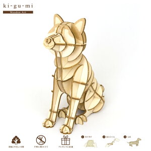 ki-gu-mi Hc | ؐgpY ki-gu-mi kigumi LO~  ؑg  ^ ؔ t  Lbg  ؐpY ̃pY 3DpY SҌ NG[V ANeB