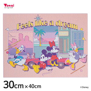 _ChtBbNX Disney ~bL[tY VeBE|bv 30×40cm | _ChtBbNX r[YLoXA[g \t hイ Disney CeA _Ch A[g