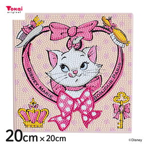 r[YPUSHI _ChtBbNX Disney }[ 20×20cm | _ChtBbNX r[YLoXA[g \t hイ Disney CeA _Ch A[g